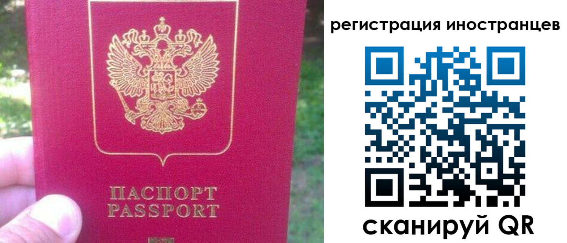 временная регистрация законно в Амурской области
